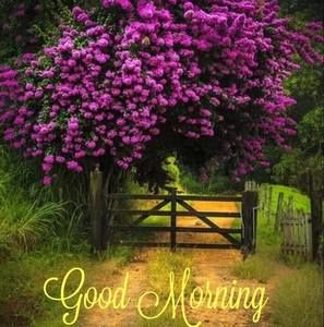 Meet your Posher, Rita